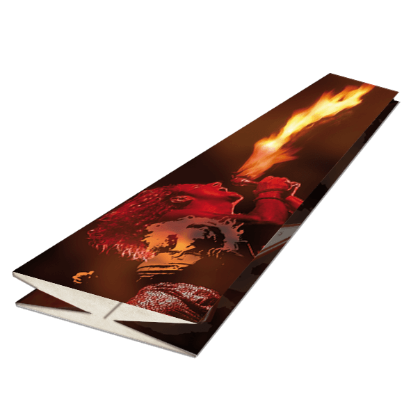 Sammy Hagar Style Cover - Flame